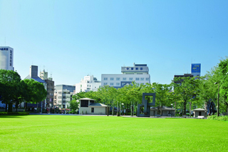 tenpark.jpg